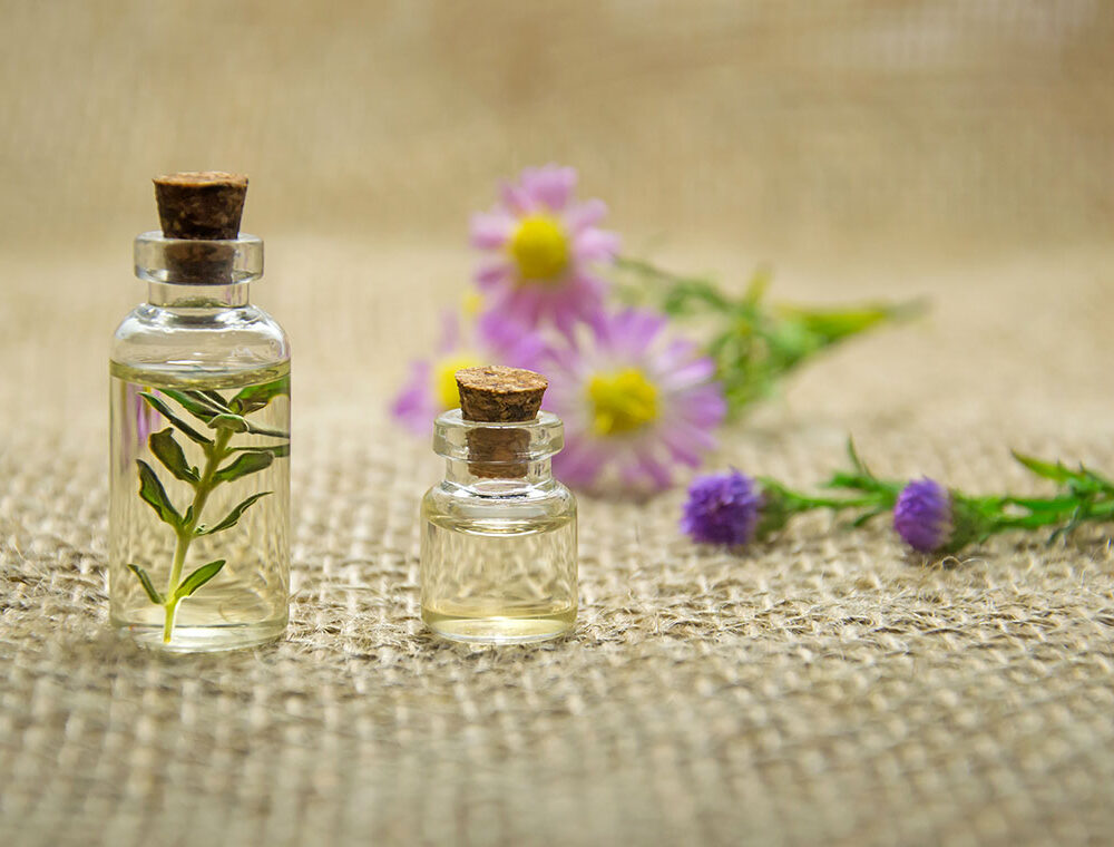 Degustació de Formatges